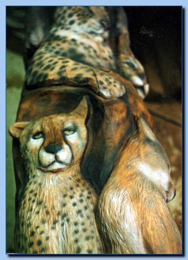 2-13 vertical cat collage-archive-0007